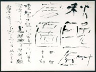 第46回毎日書道展